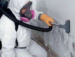 Reliable Cottonwood, MN Mold Remediation Solutions